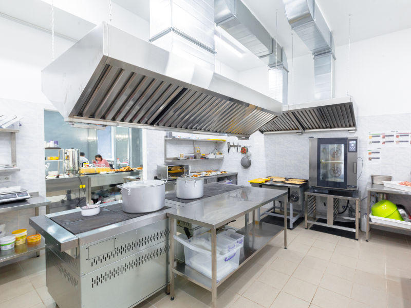 Pest Control Seaford